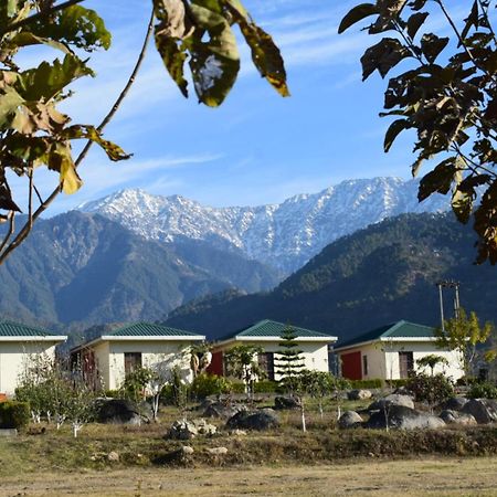 Dhauladhar View Village Resort Dharamshala Dış mekan fotoğraf