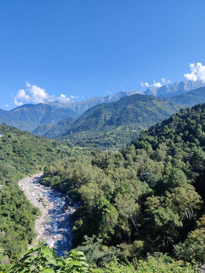 Dhauladhar View Village Resort Dharamshala Dış mekan fotoğraf