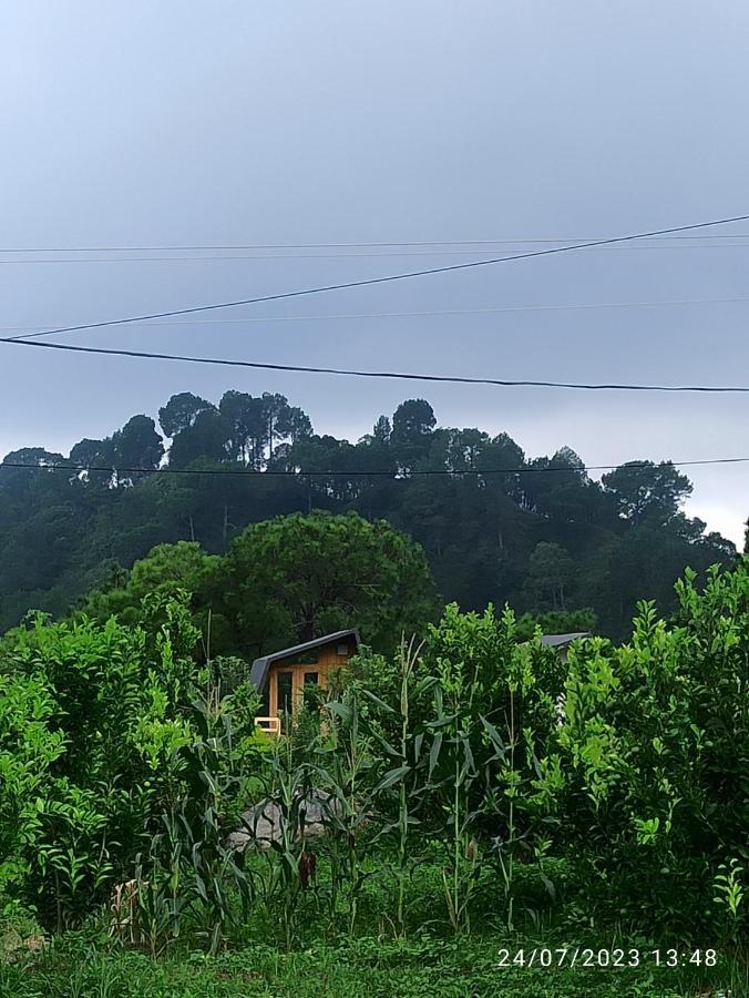 Dhauladhar View Village Resort Dharamshala Dış mekan fotoğraf