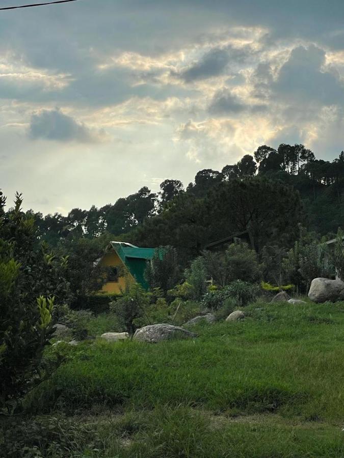 Dhauladhar View Village Resort Dharamshala Dış mekan fotoğraf