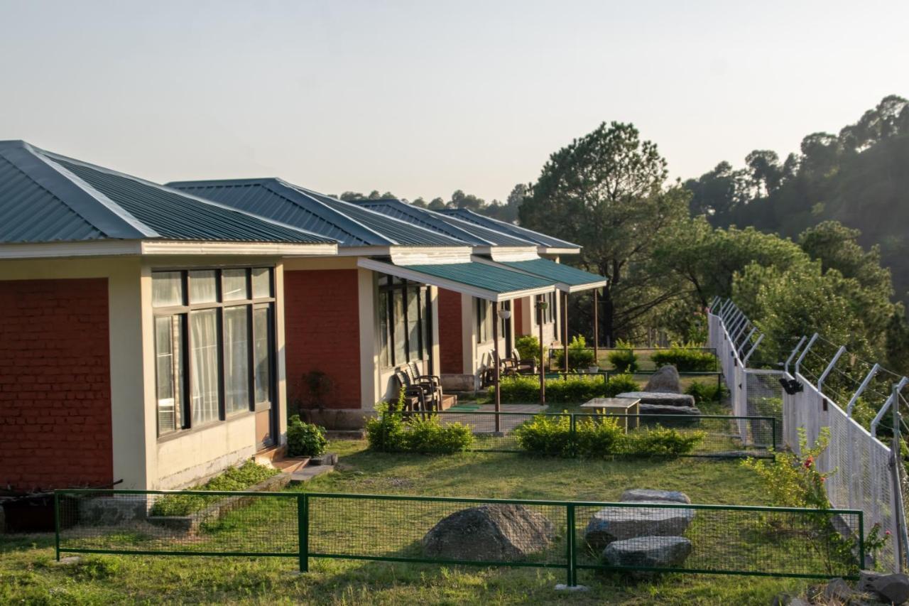 Dhauladhar View Village Resort Dharamshala Dış mekan fotoğraf