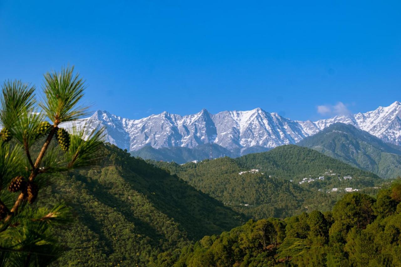 Dhauladhar View Village Resort Dharamshala Dış mekan fotoğraf