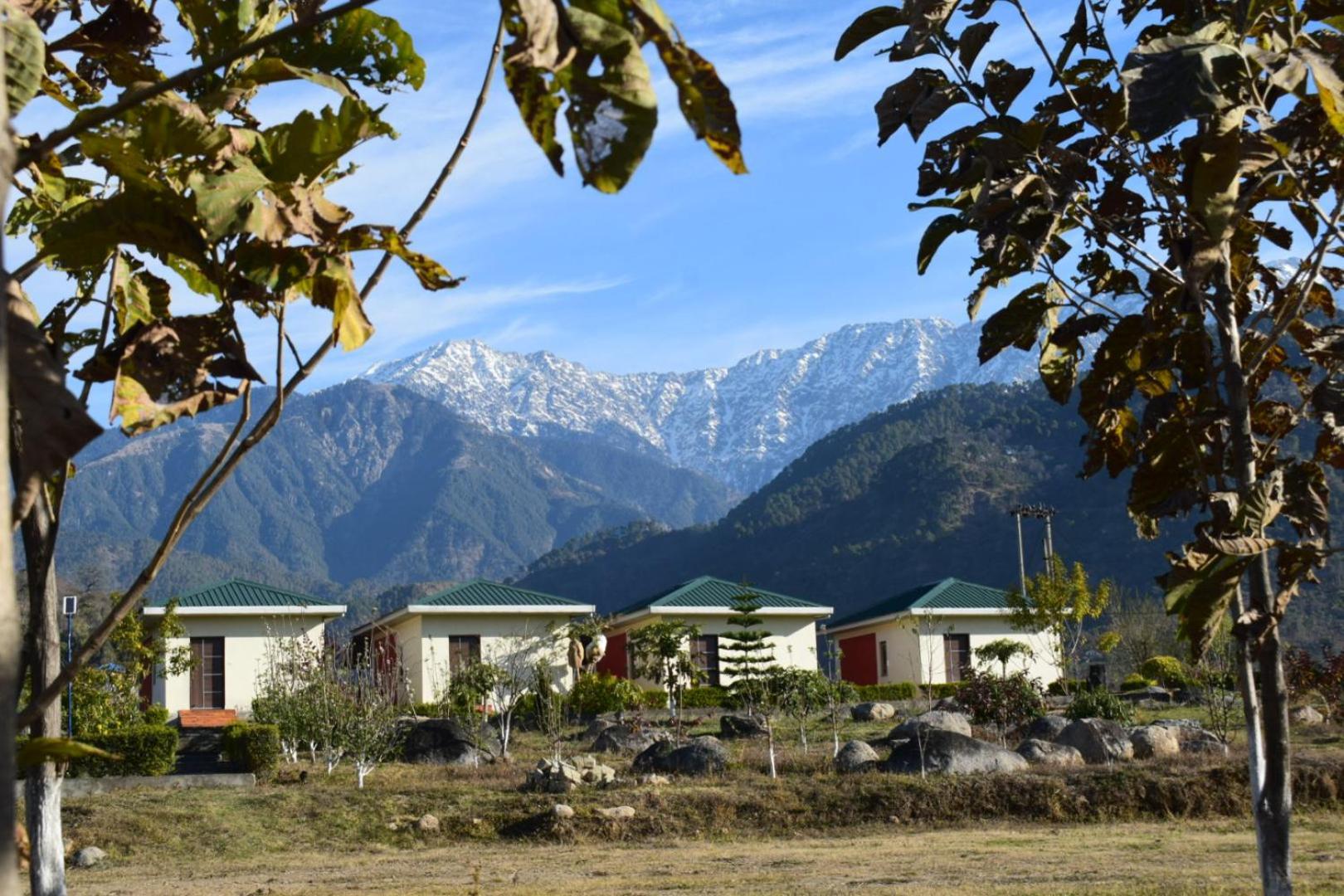 Dhauladhar View Village Resort Dharamshala Dış mekan fotoğraf